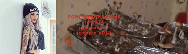 эйфоретик Нефтегорск