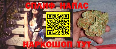 гашик Ирбит