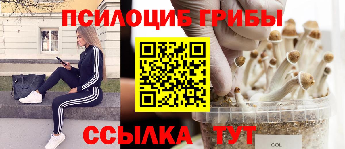 Псилоцибиновые грибы Cubensis Набережные Челны